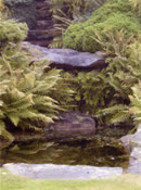 rockery